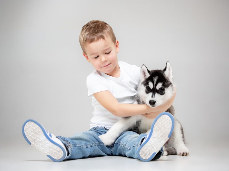 retrato-nino-alegre-que-divierte-cachorro-husky-siberiano-suelo-estudio-animal-amistad-amor-mascota-infancia-felicidad-perro-concepto-estilo-vida