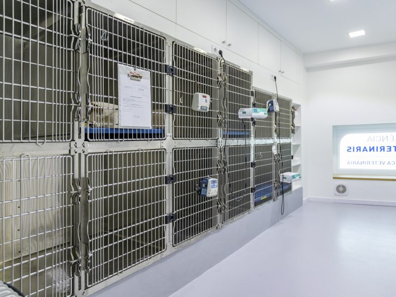 valencia-veterinaris-instalaciones-hospitalizacion